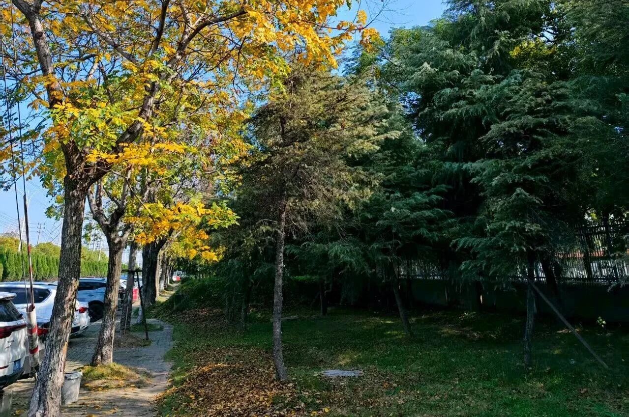 1758179537113741.jpg 微信圖片_2025-09-18_150950_430.jpg